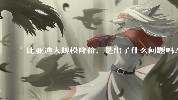 比亚迪大规模降价，是出了什么问题吗？