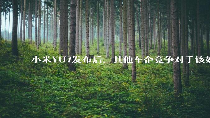 小米YU7发布后，其他车企竞争对手该如何应对？