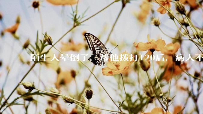 陌生人晕倒了，帮他拨打120后，病人不支付120出车费，这个费用谁来承担？