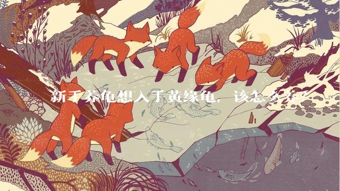 新手养龟想入手黄缘龟，该怎么养？
