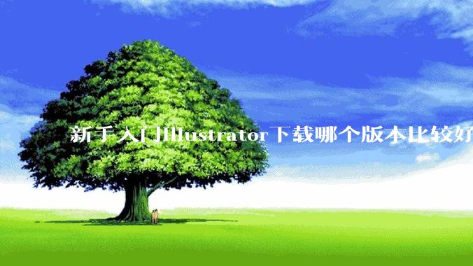 新手入门illustrator下载哪个版本比较好呢？